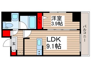 ティモーネ押上ノルドの物件間取画像